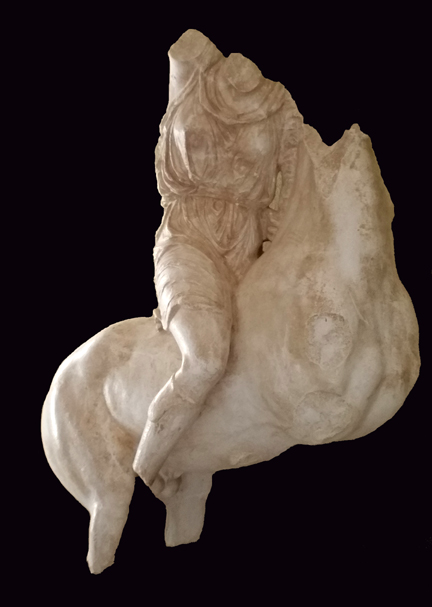 Amazon epidaurus72px